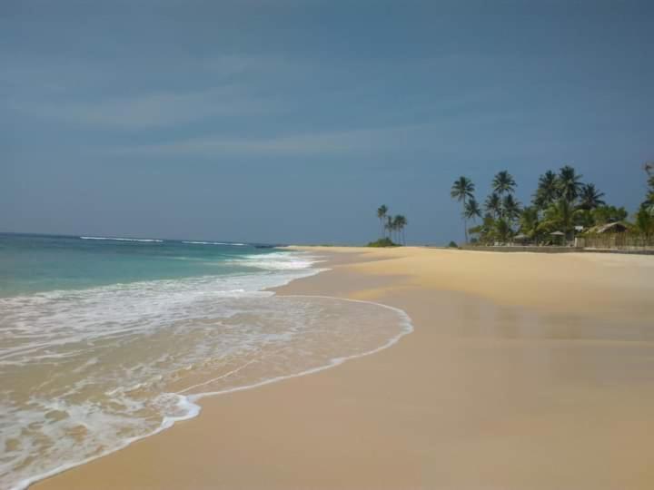 Simple Place Mirissa Exterior foto
